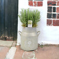 Rosemary Milk Churn Planter