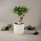 Ceramic Eve Off White