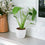 Ceramic White