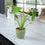 Ceramic Green Ripple