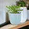 Ceramic Blue Chevron