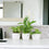 Ceramic White