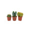 Nursery Pot