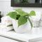 Ceramic White