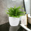 Ceramic White