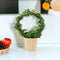 Wood Eco Pot