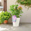 Metal Vertical Line Cream