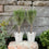 Pair Of Rosemary Trees Metal Zinc Pail