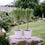 Pair Of Rosemary Trees Metal Lilac Pail