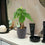 Ceramic Ewi Dot Anthracite