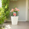 Metal Vertical Line Cream