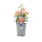 Nursery Pot