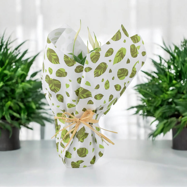 paper to wrap potted plants Gift wrap by Wrapped – Plants By Post