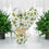 Eco Friendly Wrap White & Green Leaf