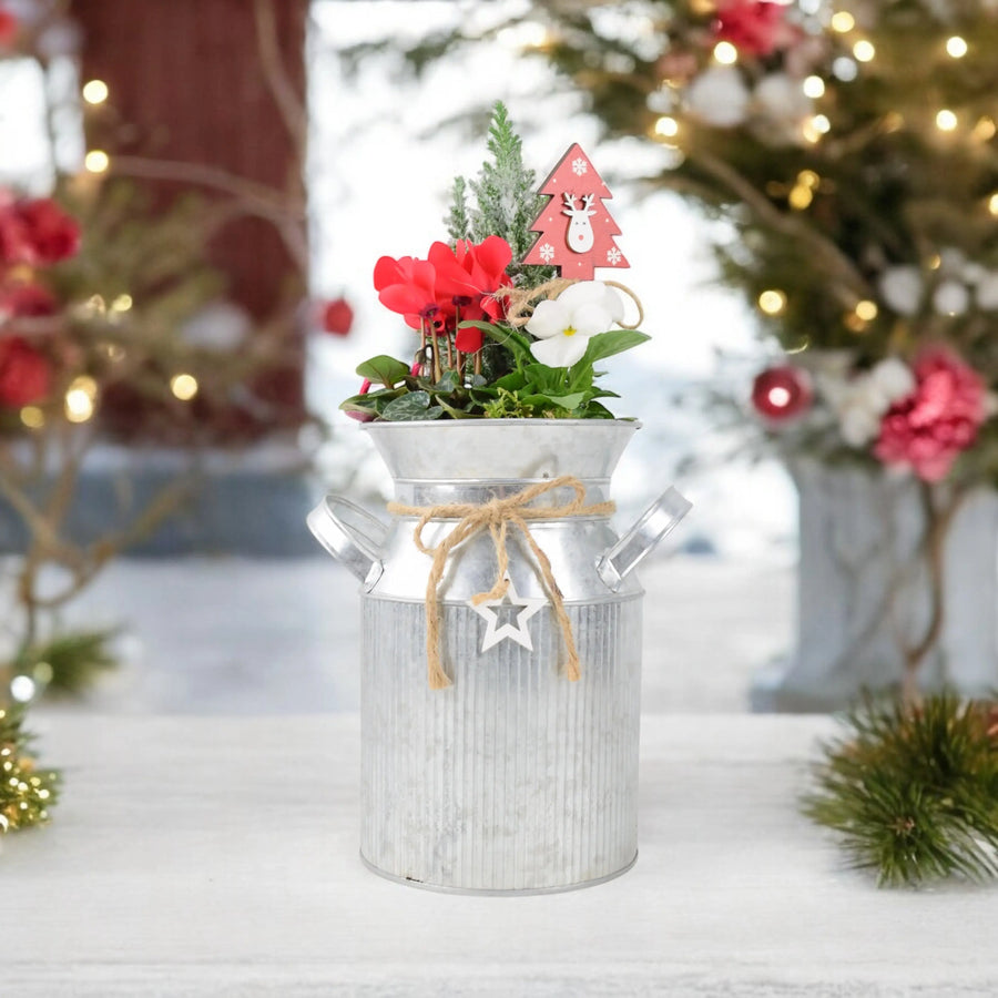 Festive Outdoor Milk Churn Planter plants by post