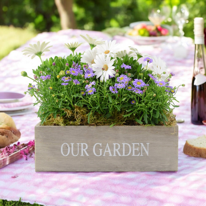 Our Garden Wooden Seasonal Planter Plants By Post