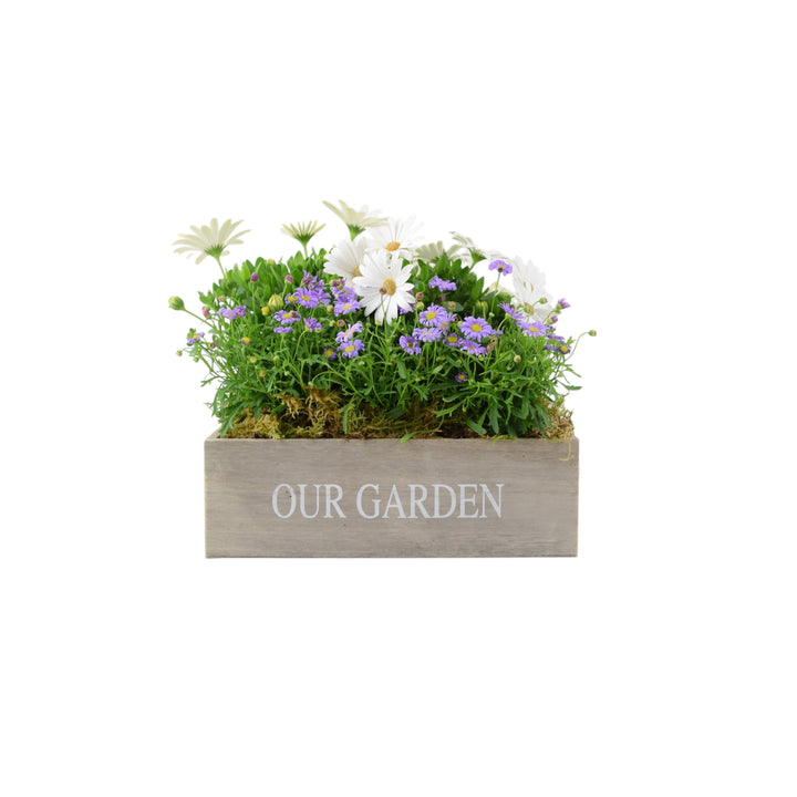 Our Garden Wooden Seasonal Planter Plants By Post
