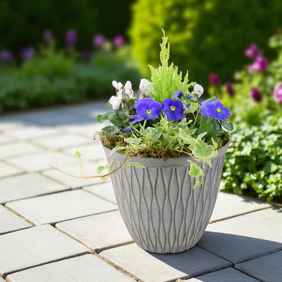 Vibrant Seasonal Outdoor Container – Hot Colours or Ocean Plants By Post