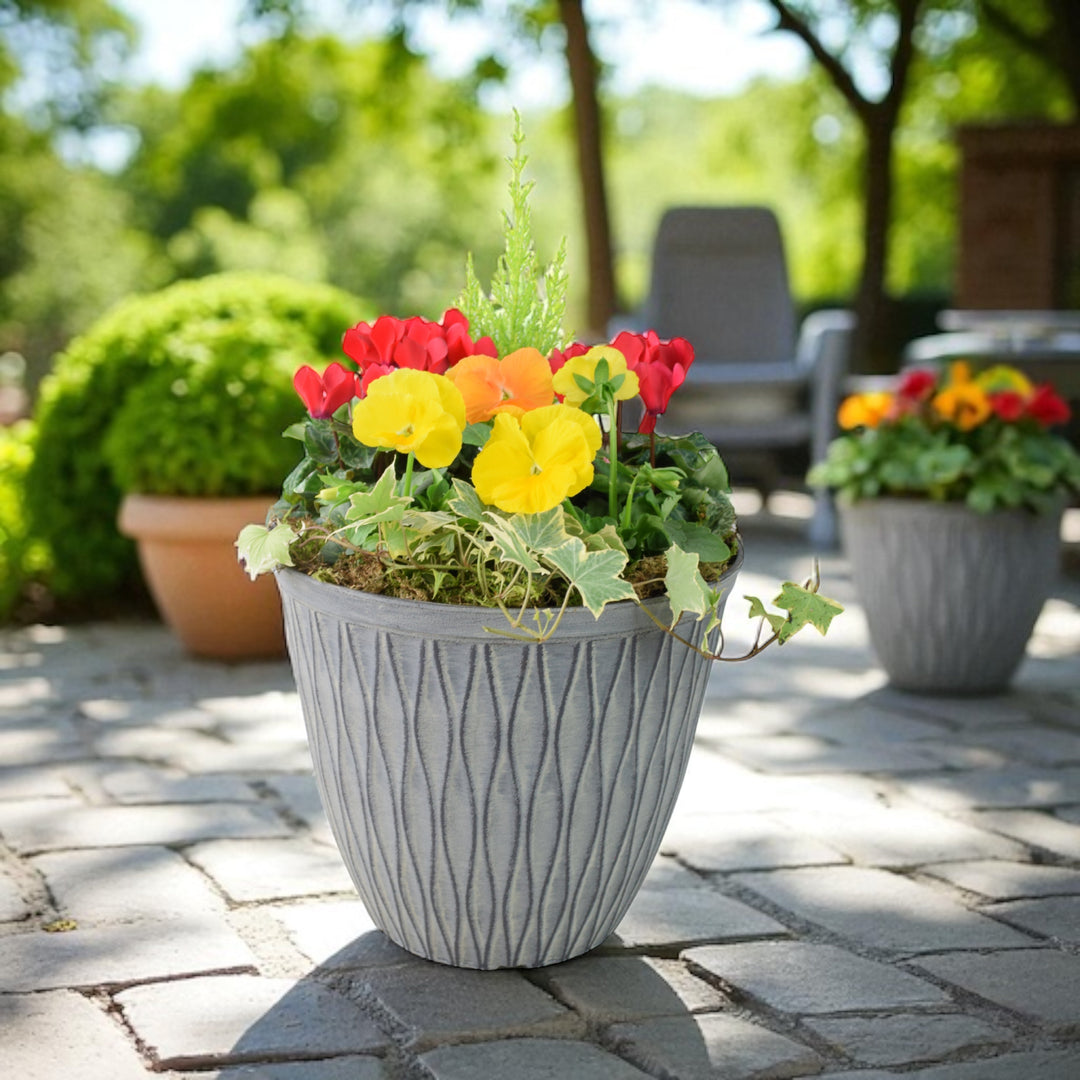 Vibrant Seasonal Planted Container – 26cm Decorative Outdoor Planter with Seasonal Flowers Plants By Post