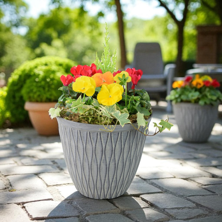 Vibrant Seasonal Planted Container – 26cm Decorative Outdoor Planter with Seasonal Flowers Plants By Post