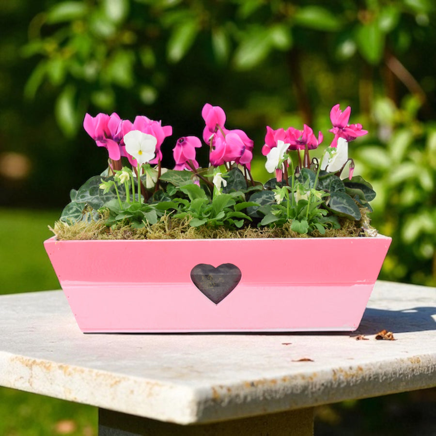 Pink & White Wooden Trough Planter - Vibrant Garden Flower Planter Plants By Post