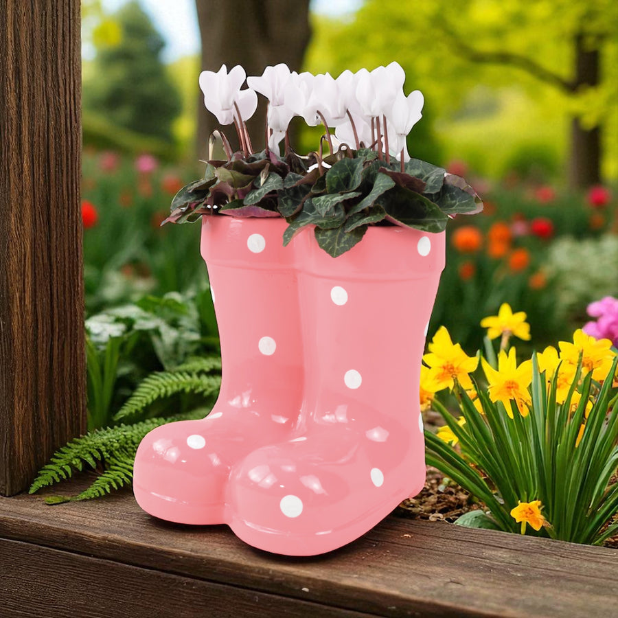 Pink Polka Dot Wellies Planter with Dianthus - Ceramic Garden Decor Plants By Post