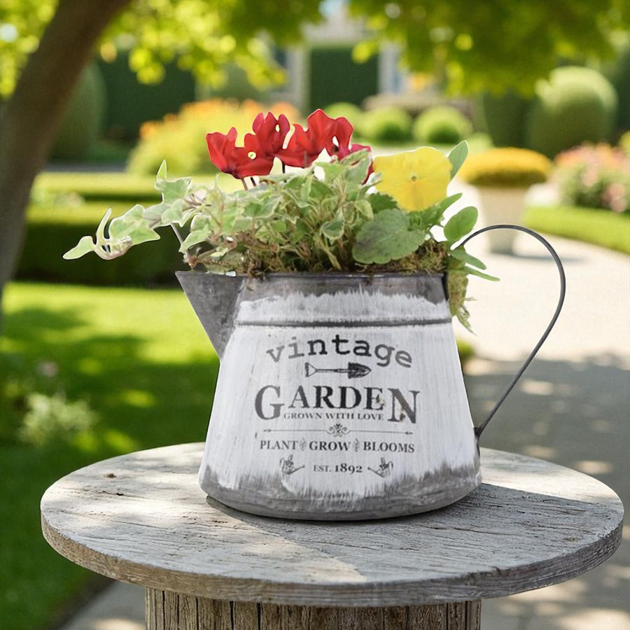 Seasonal Vintage Jug Planter - Pre-Planted Cottage Garden Display Plants By Post
