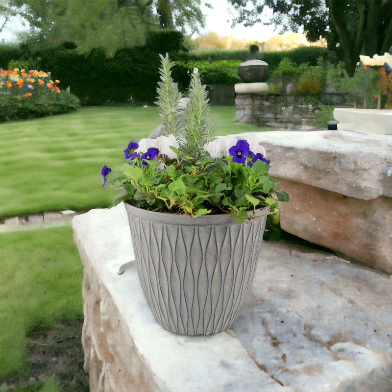 26cm Seasonal Planted Container
