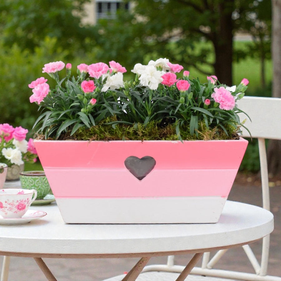 Large Pink Heart Wooden Trough – Planted with Seasonal Dianthus Plants By Post