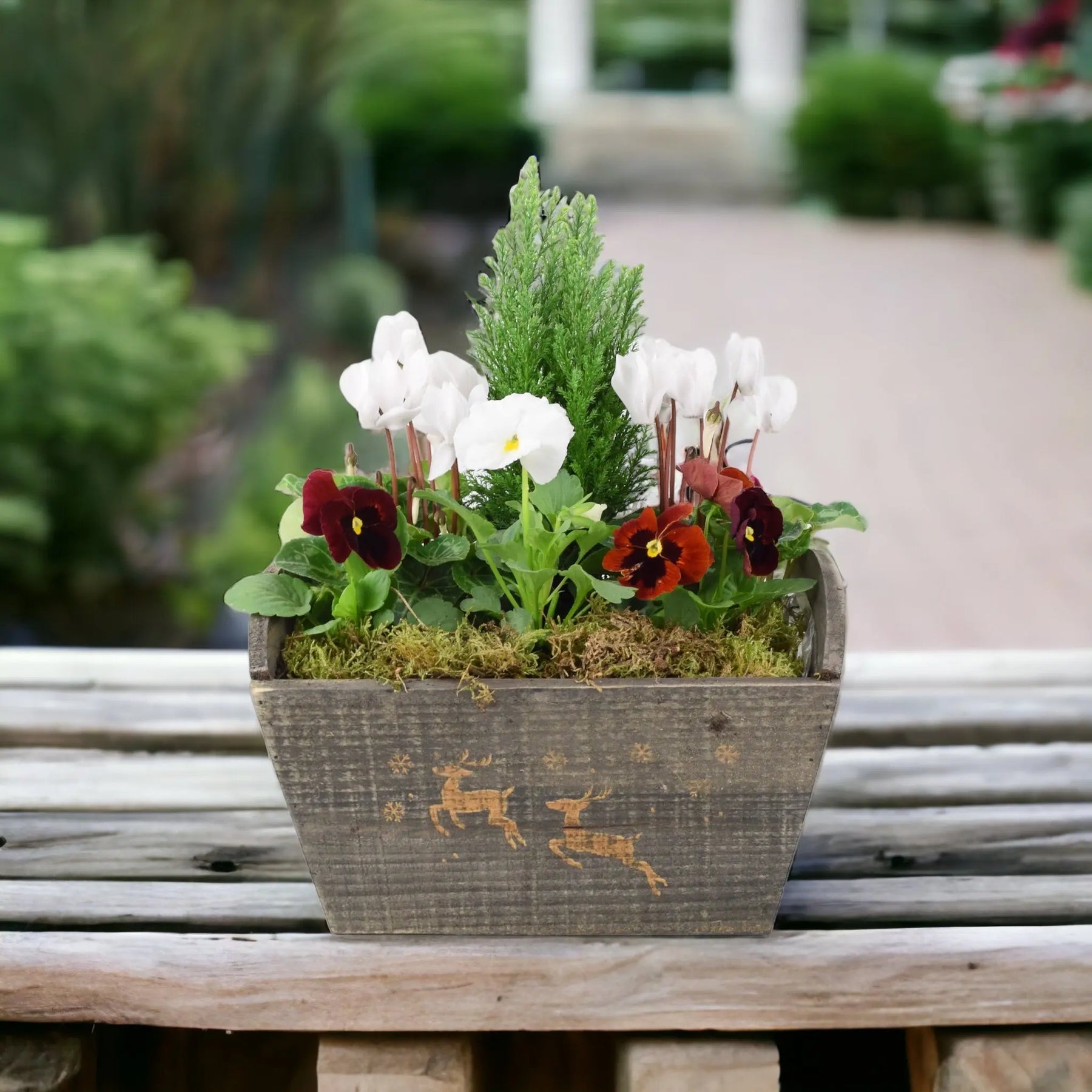 Christmas Outdoor Planted Wooden Reindeer Trough Plants By Post
