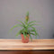 Nursery Pot
