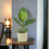 Ceramic French Green
