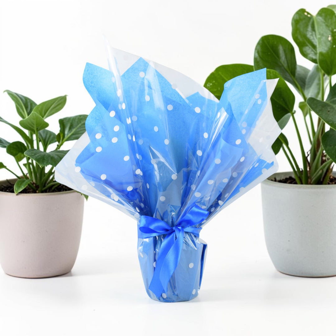Gift Wrap for Plant Gifts – Perfect Finishing Touch for All Occasions