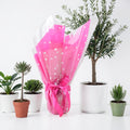 Gift Wrap for Plant Gifts – Perfect Finishing Touch for All Occasions