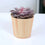 Wooden Eco Pot