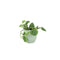 Ceramic Ewi Dot Green