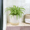 Ceramic Eve Off White