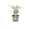 Nursery Pot