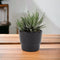Ceramic Black