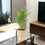 Wooden Eco Pot
