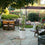 Zinc Planter with Gold Rim
