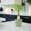 Ceramic Moss Green