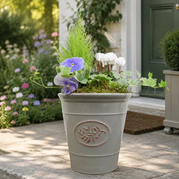 Olive Planter with Mixed Seasonal Plants – Grey or Green Garden Container Plants By Post