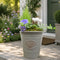 Grey Olive Planter