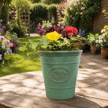 Olive Planter with Mixed Seasonal Plants – Grey or Green Garden Container Plants By Post