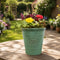 Green Olive Planter
