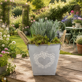 Lavender in Heart Logo Tin with Moss Rim – Pre-Planted Garden Container Plants By Post