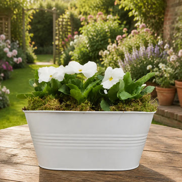 White Metal Trough with Mixed Seasonal Plants – Moss Finish Garden Planter Plants By Post