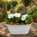 White Metal Trough with Mixed Seasonal Plants – Moss Finish Garden Planter Plants By Post
