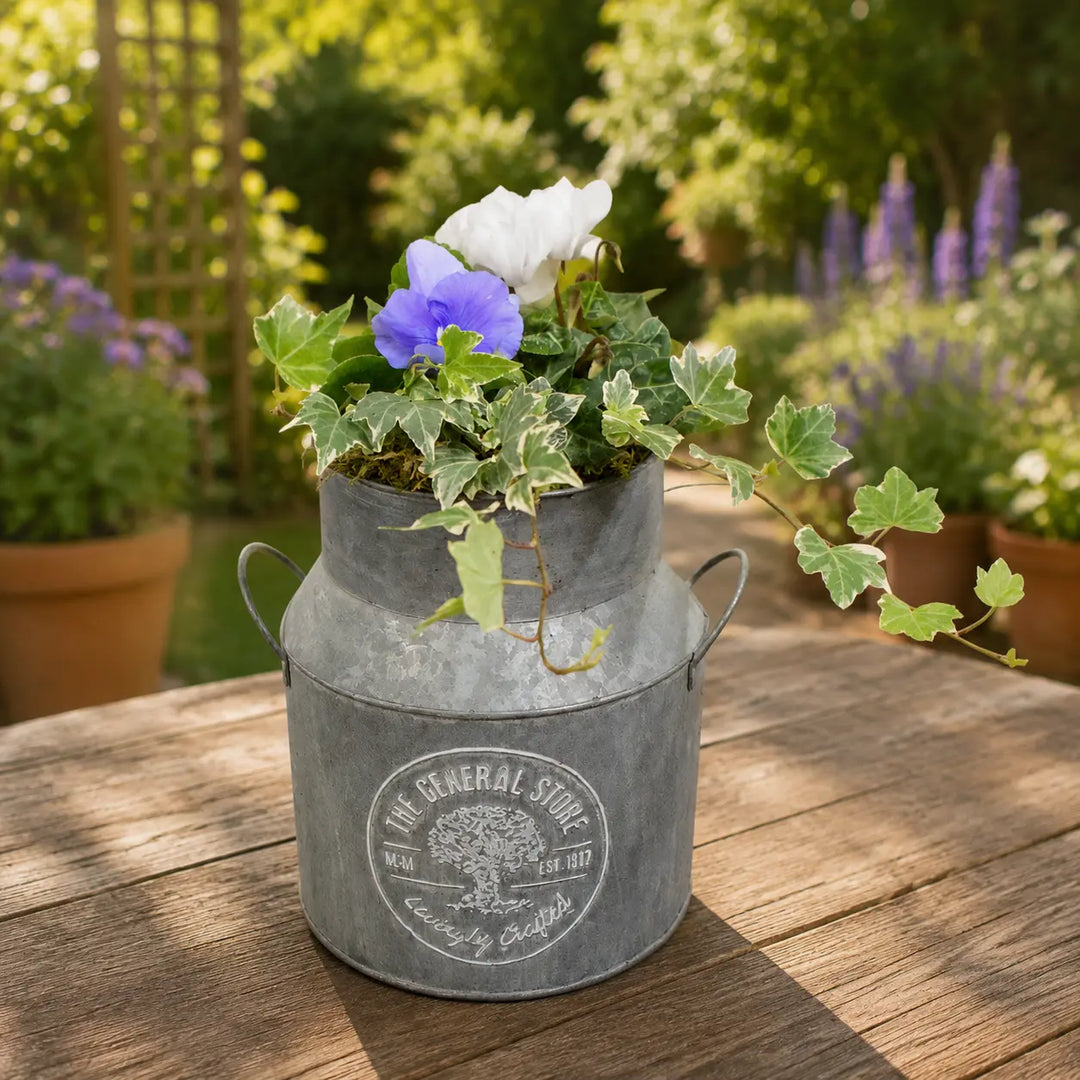 Seasonal Milk Churn with Mixed Plants – Autumn Colour Garden Planter Plants By Post